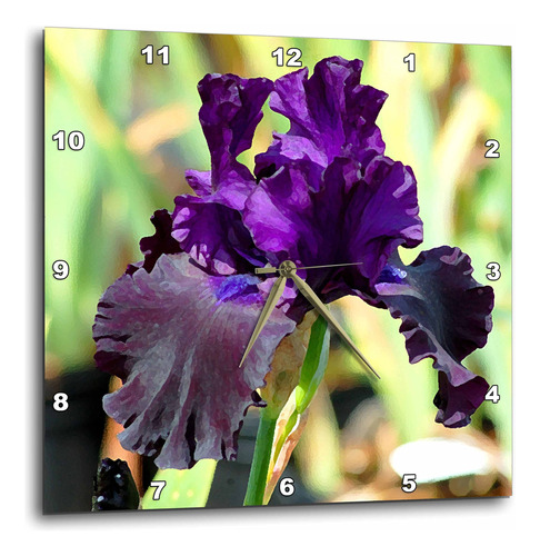 Reloj De Pared Morado Con Imagen De Iris De 25.4 X 25.4 Cm