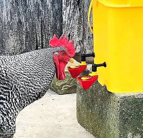 Bebedero Automatico Niple Para Codorniz Pollos Patos Nuevo
