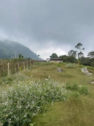 Vendo O Permuto Finca En Fusagasuga Vereda Guchipas