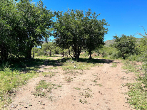 Tres Hectareas En San Francisco Del Monte De Oro.