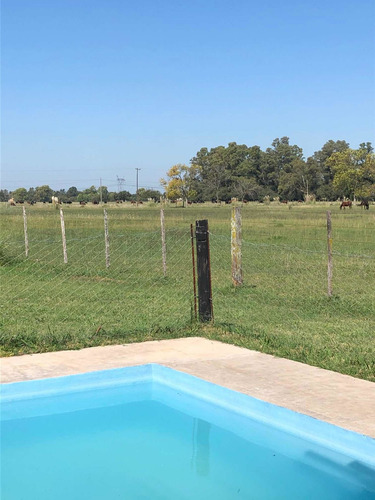 Imagen 8 de 12 de Casa La Calandria En Petion Polo Ranch