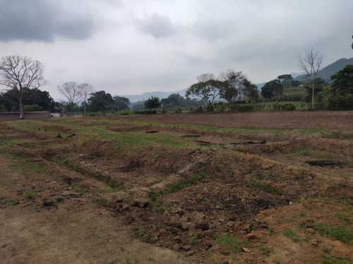 Imagen 8 de 20 de Finca Agro Industrial En Bejuma (att-149) Aa