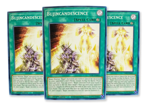 Yugi-oh! Bujincandescence Liov-en062 Comun