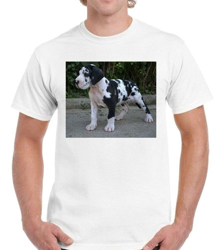 Remera De Hombre Perro Gran Danes Cachorro