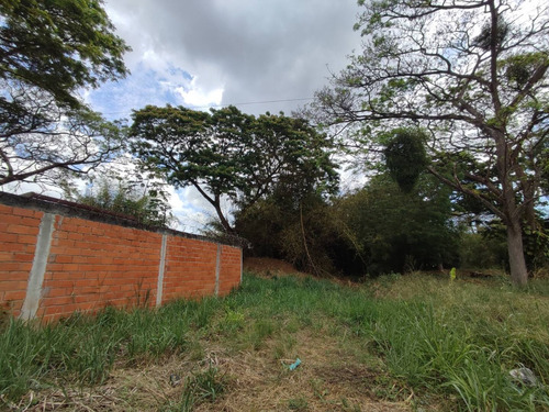 Venta De Terreno En La Av Don Julio Centeno - San Diego Cód 279410