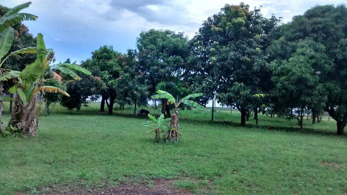 Imagem 12 de 16 de Chácara Com 3 Dorms, Zona Rural, Tambaú - R$ 550.000,00, 8.400m² - Codigo: 10131469 - V10131469