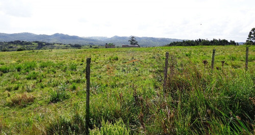 17 Has, Vistas Serranas, Monte Nativo, Arroyo Y A 1 Hora De Mdeo...- Ref: 26461