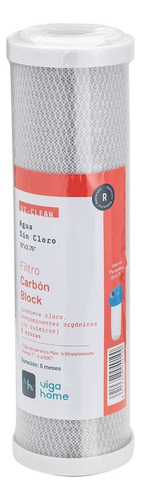 Filtro Carbón Block De 10 X2,75 Elimina Cloro