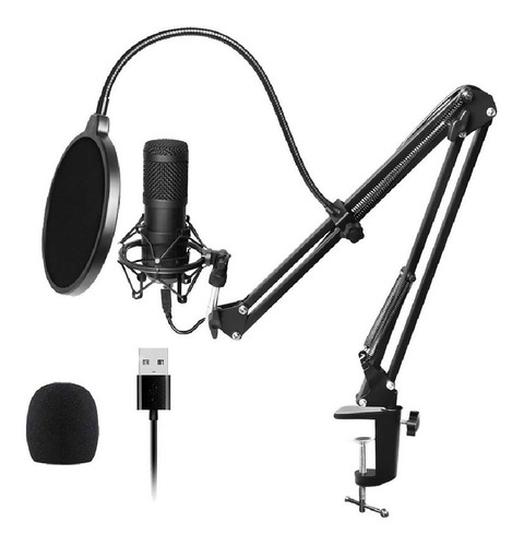 Microfono Diseño Doble Capa Condenser Streaming Skyway M1