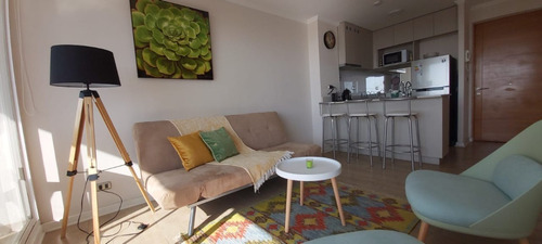 Imagen 2 de 23 de Hermoso Departamento En Arriendo Por Días, Excelente Vista.