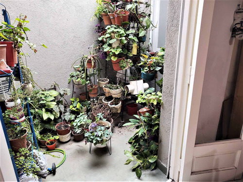 Imagen 2 de 16 de Venta Ph De 2 Ambientes En Monte Castro Con Patio