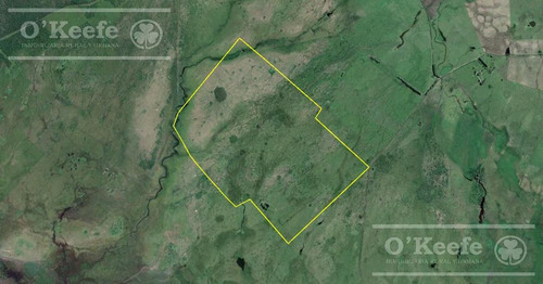Imagen 23 de 27 de Campo De 600 Has En Venta En Gualeguaychu - Muy Buen Campo Ganadero De 0,7 Ev/ha Con Casco