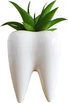 Comprar Macetas Suculentas Cuteforyou, Lindo Soporte Para Plantas De