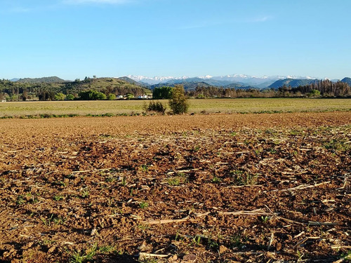 Terreno Agrícola De 33,5 Ha - Campo En Venta, San Clemente