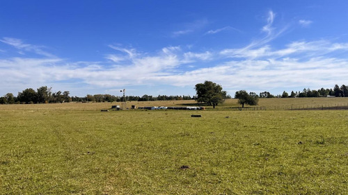Imagen 11 de 30 de Campo Sobre Autopista Ruta 14 Colón Entre Ríos