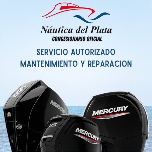 Semirrigido Viking 5,20 Equipado Y Mercury 50hp Elpt 4t 2025