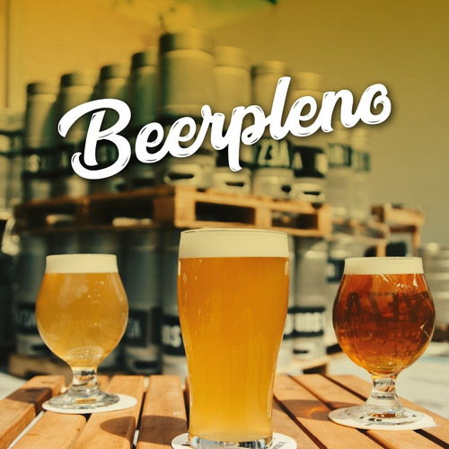 Imagen 2 de 3 de Alquiler De Choperas Barril De 50 Y 30 Lts Cerveza Bierlife