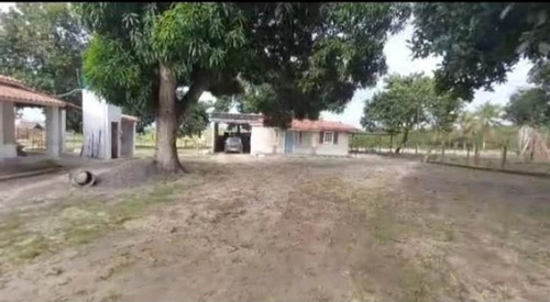 Sitio Com 9.3 Hectares Com Irrigação, Muita Água.