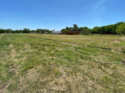 Dueño Directo Vende Lotes De 900m2 En Pontevedra
