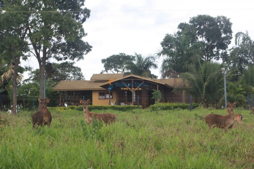 Imagem 8 de 20 de Fazenda Em Felixlândia - Mg - 6348