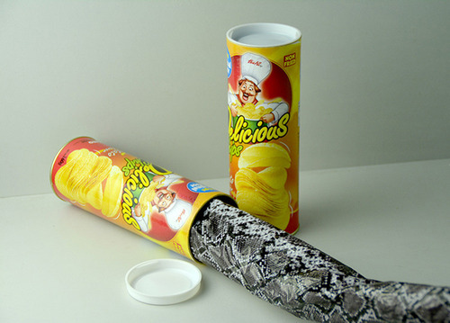 Latas De Patatas Fritas, Trucos Con Serpientes, Bromas, Pata
