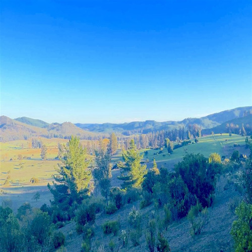 Parcelas Hermosas A Minutos Playa Y Laguna Torca, 5000m2 Rol