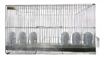 Comprar Jaulas Lopardo Voladoras Reforzada 60x40x32cm 6 Com. 1 Chapa