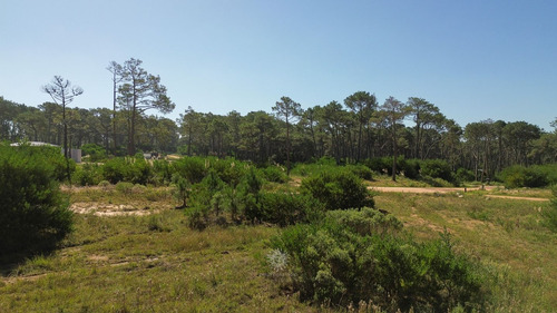 Terreno En Venta En Reserva Montoya (ref: Bpv-10362)
