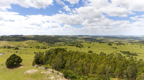 Campo En Venta
