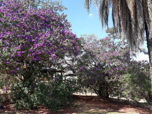 Imagem 24 de 30 de Casa Em Condomínio À Venda Em Contagem - 1322