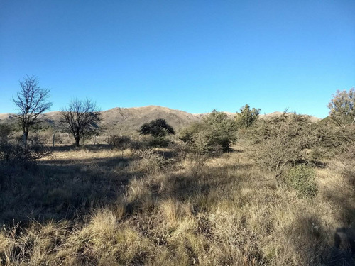 Imagen 4 de 30 de Terrenos En Las Sierras