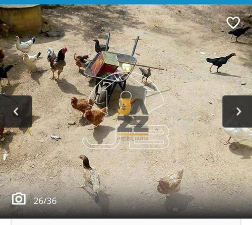 Chácara Com 2 Dormitórios À Venda, 1000 M² Por R$ 350.000,00 - Chácaras Cruzeiro Do Sul - Campinas/sp - Ch0608