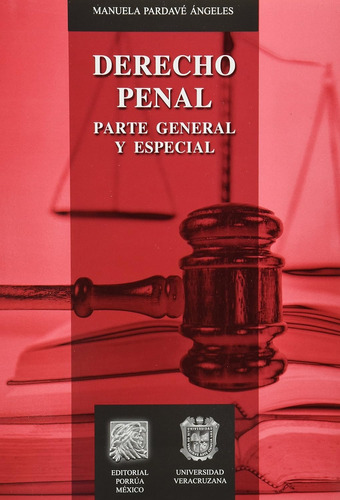 Libro Derecho Penal Parte General Especial Editorial Porrúa