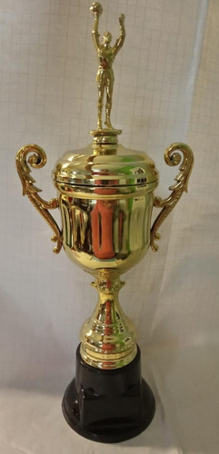 Combo 10 Trofeos Chicos Basquet +  Trofeo Central Con Figura