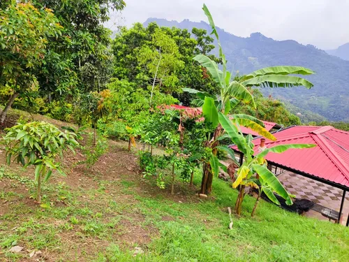 Venta De Hermoso Casa Lote En Sasaima- Cundinamarca