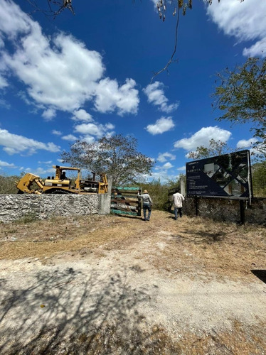 Imagen 4 de 20 de Lotes Residenciales De Inversión En Habinta Cerca De Chicxu
