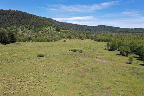 Terreno 5.000 M2 A Pocos Metros Pueblo Malalcahuello