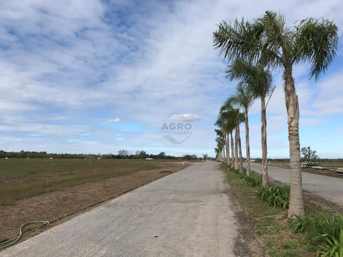 Terreno Lote  En Venta En Capilla Del Señor, Exaltación De La Cruz, G.b.a. Zona Norte