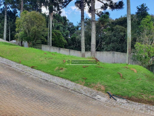 Terreno À Venda, 607 M² Por R$ 420.000,00 - Campo Comprido - Curitiba/pr - Te0198