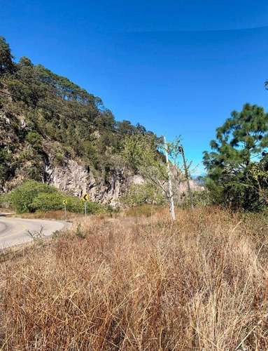 Terreno En Venta En San Sebastian Del Oeste