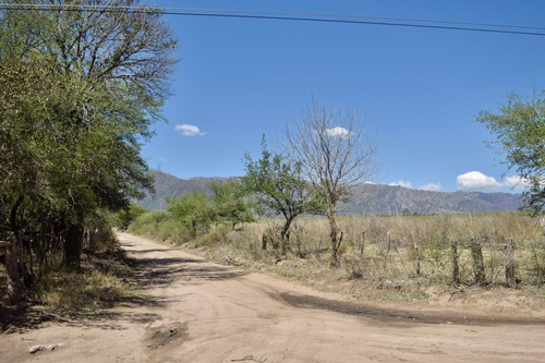 Imagen 12 de 22 de Loteo La Retirada - Cortaderas