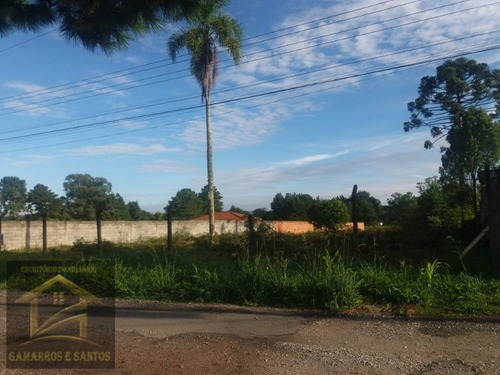 Imagem 3 de 11 de Terreno Com 2.500m² Em Quatro Barras - Te00022 - 33357972