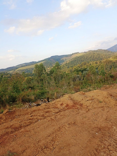 Imagem 24 de 25 de Ll- Terreno Documentação