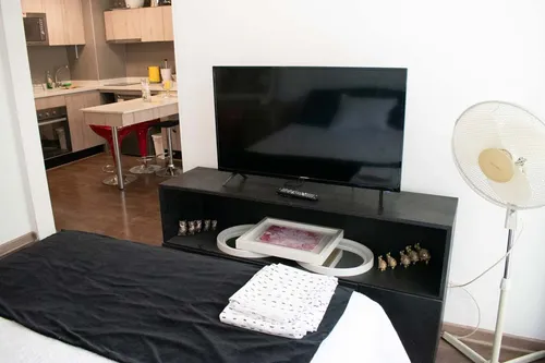 Arriendo Depto Amoblado 1 Habitación - Santiago (4238)