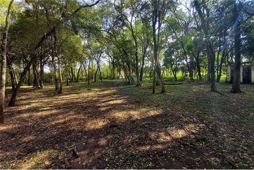 Imagen 5 de 14 de Terreno Con Arroyo