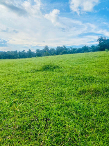 Imagem 7 de 10 de M48- Compre Seu Terreno Comigo