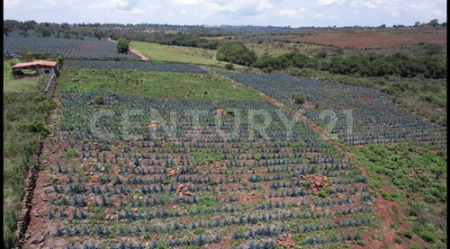 Terreno Rústico En Venta, Arandas, Jalisco.