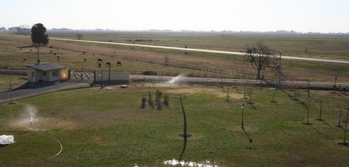 Imagen 2 de 12 de Terreno - 14.387.50 M2 - San Andres De Giles