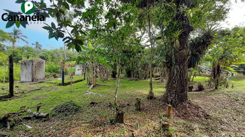Imagem 12 de 25 de Ótimo Terreno Com 1.150,00 M² No Jardim Candairó - Cananéia - Litoral Sul De Sp - Te00087 - 70424942