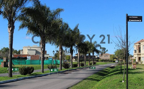 Imagen 5 de 21 de Venta De Lote Central En Bella Vista Chico